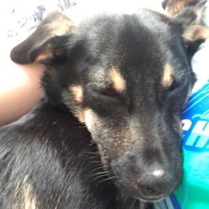 Meet your Posher, Kait